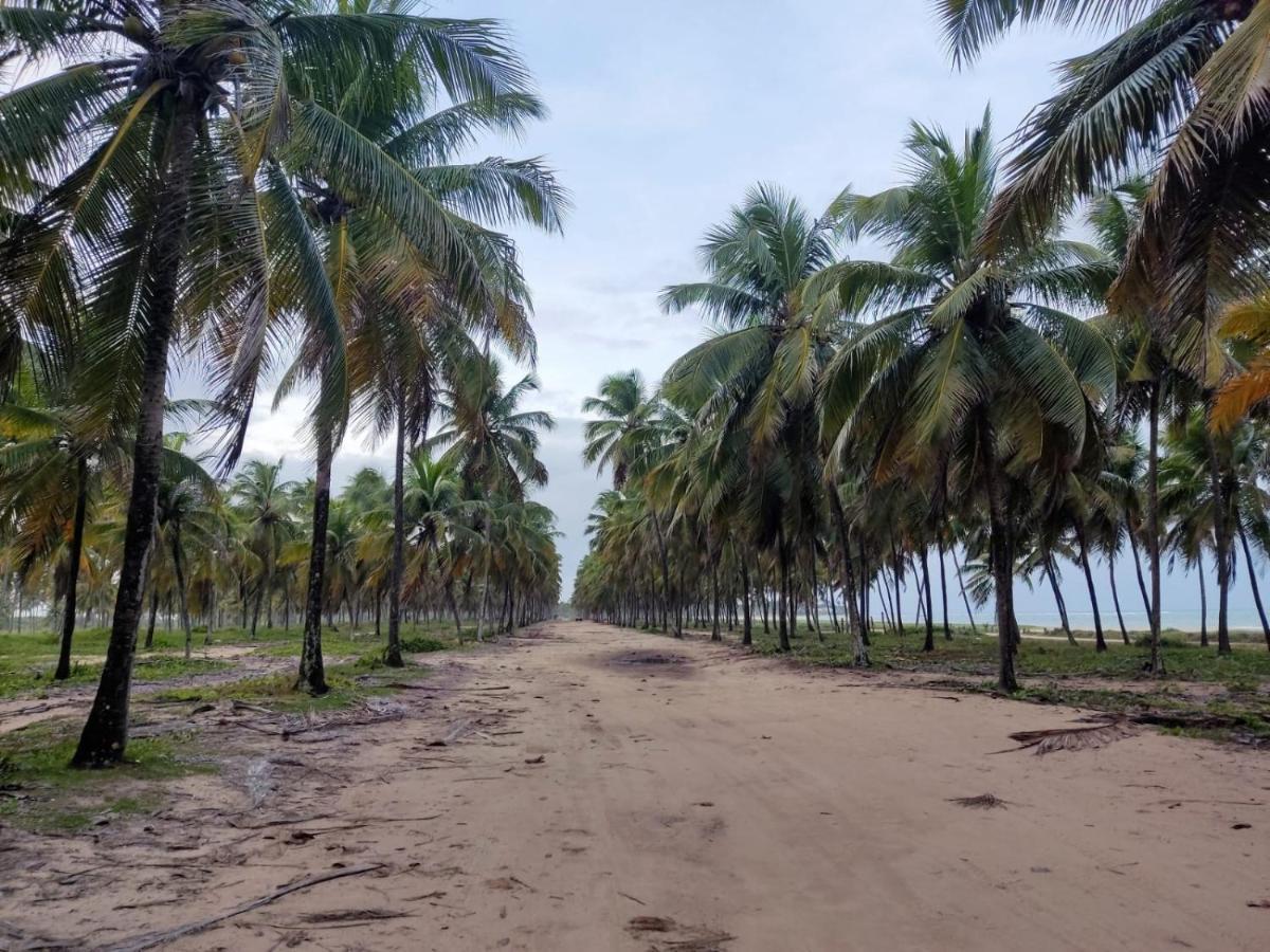 Pousada Flor De Maraca Pôrto das Galinhas エクステリア 写真