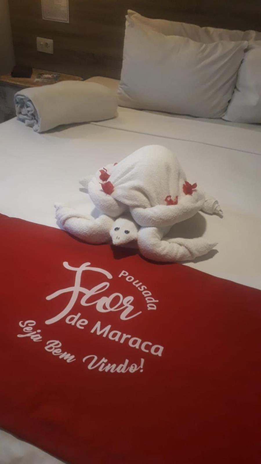 Pousada Flor De Maraca Pôrto das Galinhas エクステリア 写真