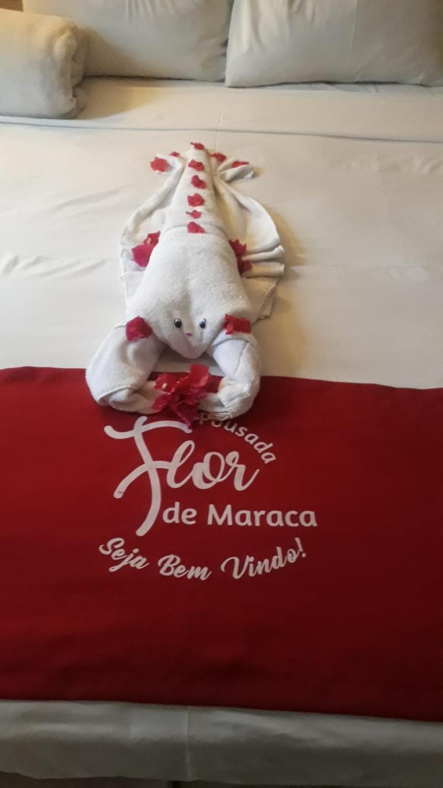Pousada Flor De Maraca Pôrto das Galinhas エクステリア 写真