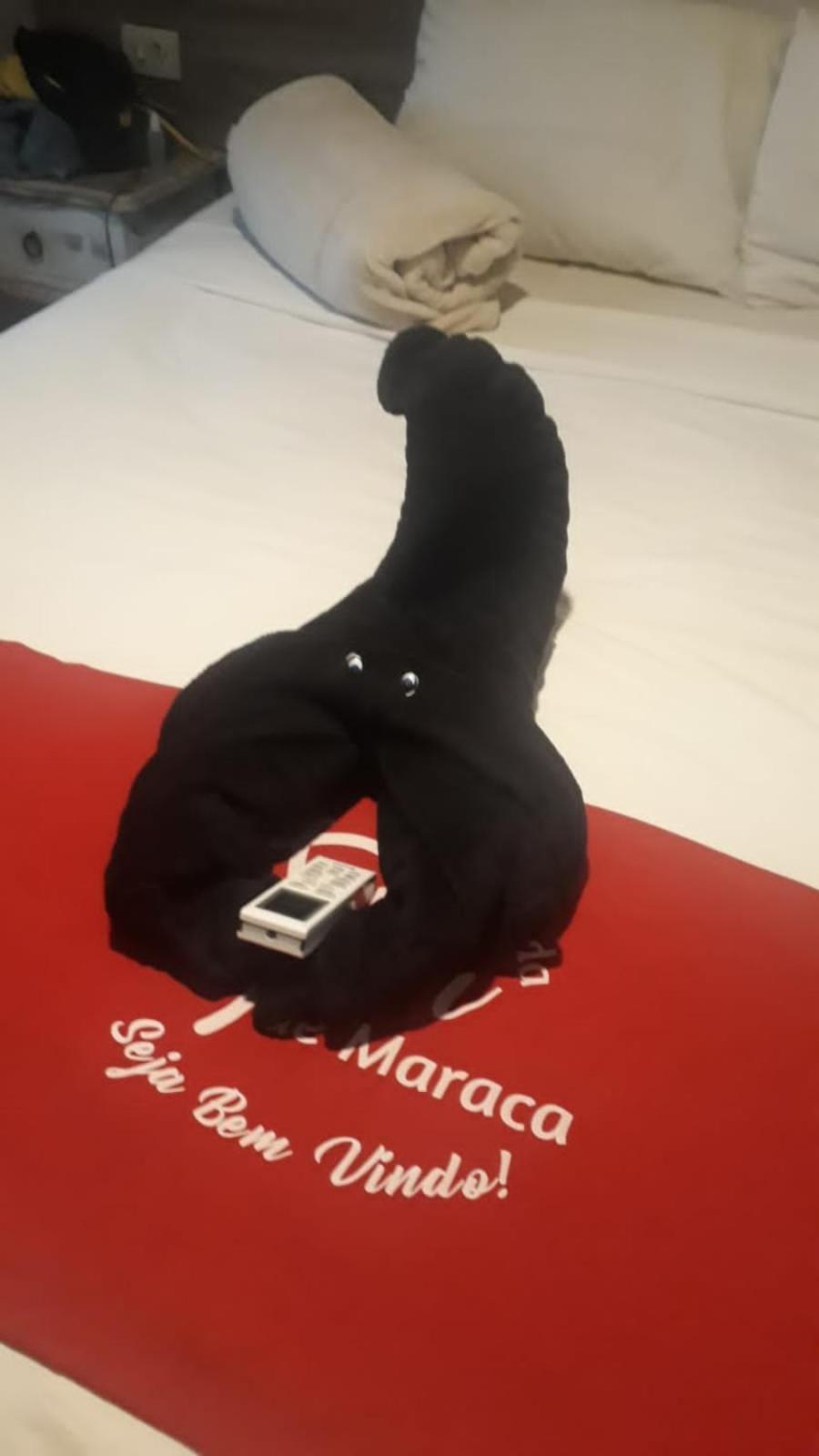 Pousada Flor De Maraca Pôrto das Galinhas エクステリア 写真